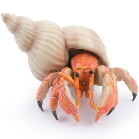 Hermit Crab Figure - Hand Painted Collectible Sea Life Toy Figure - NEW Papo - Picture 1 of 6